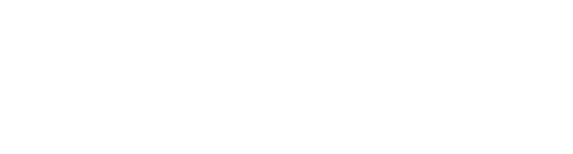 Globosoft - website designing and digital marketing company
